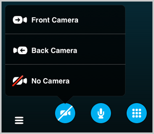 ipad cannot turn camera on for skype